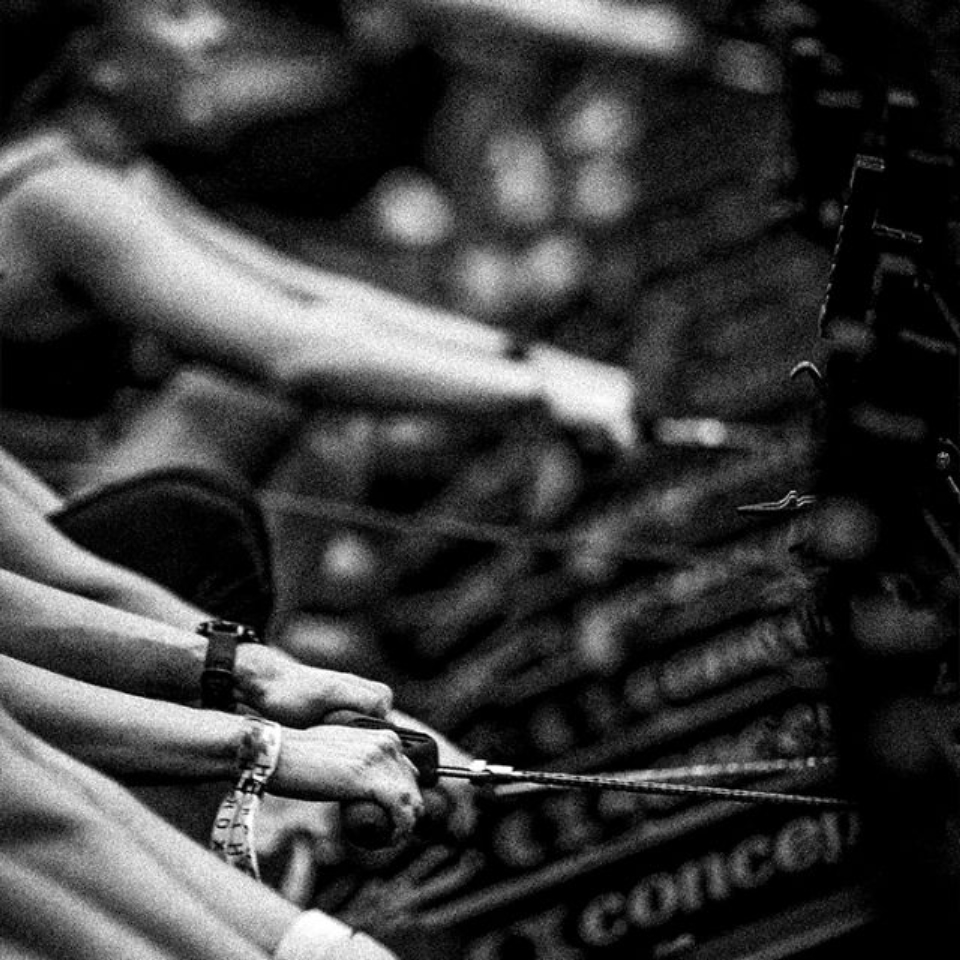 The progrm sugarwod